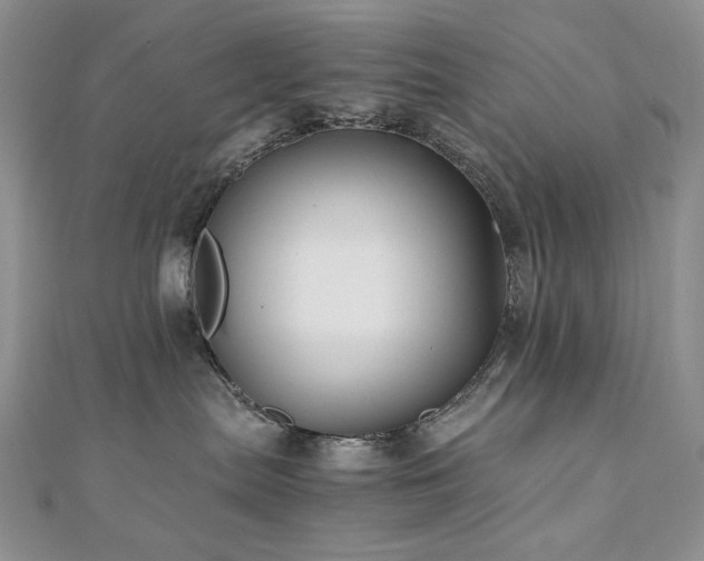 X0000110890287200906181252