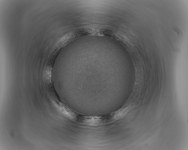 X0000110890288200906181252