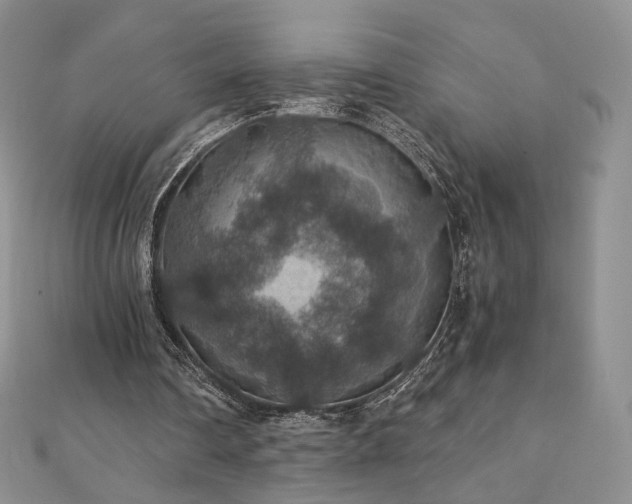 X0000110890290200906181251