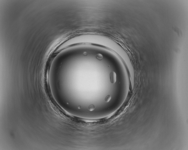 X0000110890293200906181251