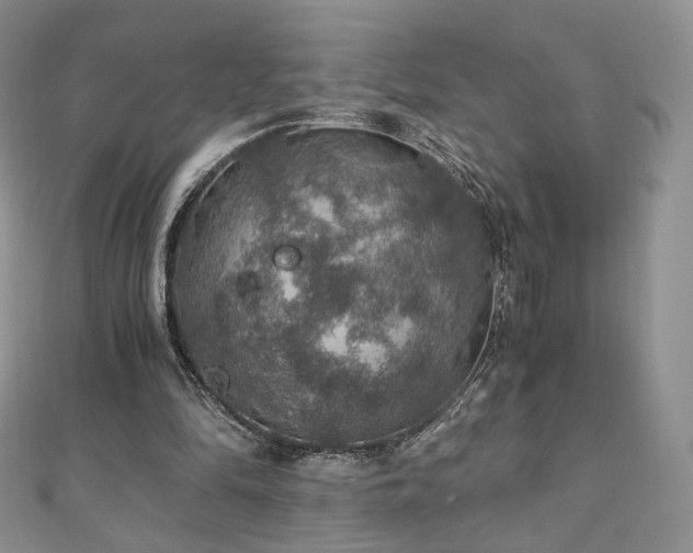 X0000110890294200906181251