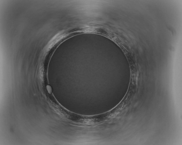 X0000110890295200906181251