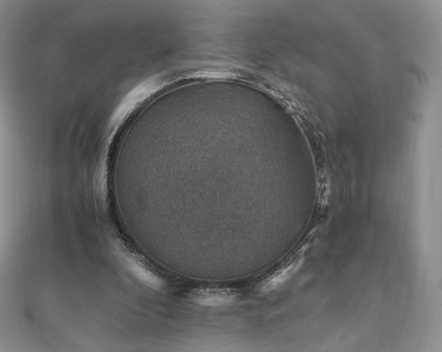X0000110890296200906181251