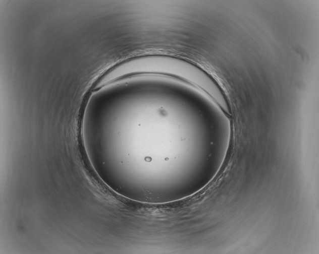 X0000110890297200906181251