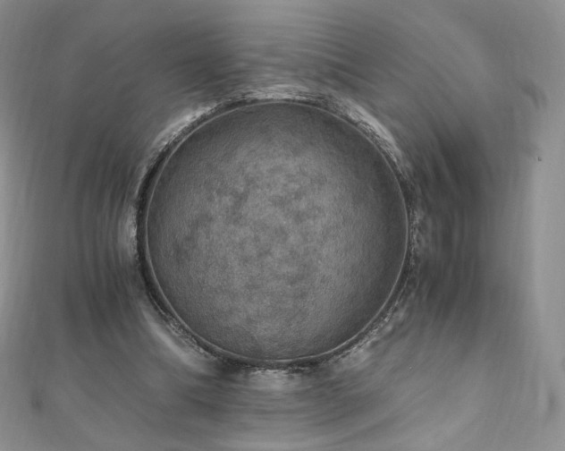 X0000110890298200906181251