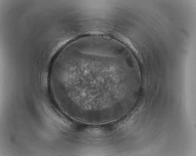 X0000110890299200906181251