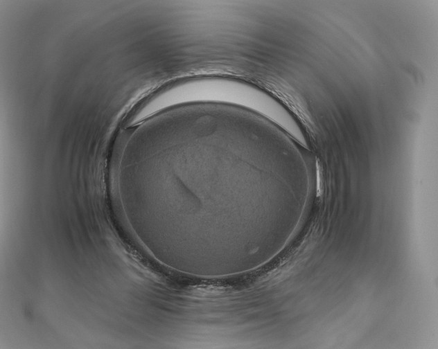 X0000110890300200906181251