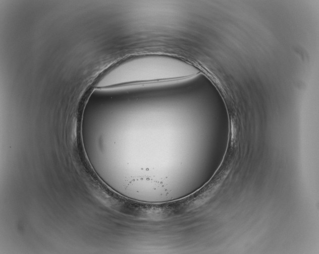 X0000110890301200906181251
