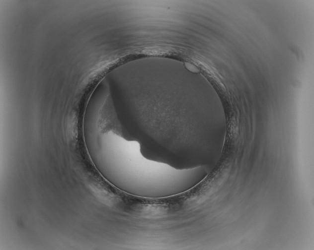 X0000110890303200906181251