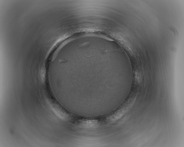 X0000110890304200906181251