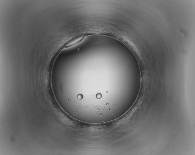 X0000110890305200906181251