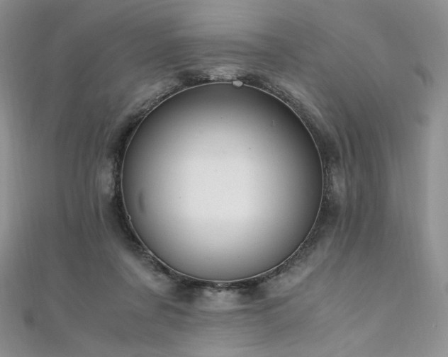 X0000110890311200906181251