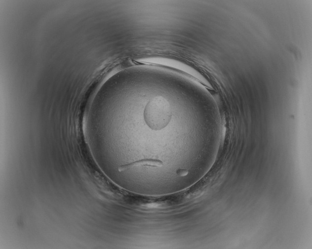 X0000110890312200906181251