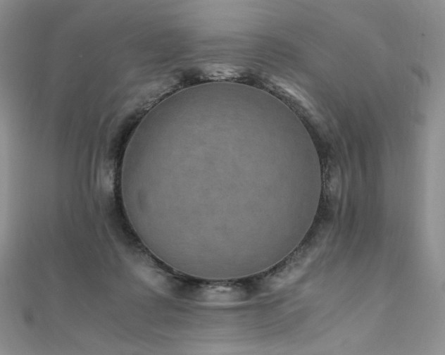 X0000110890315200906181251