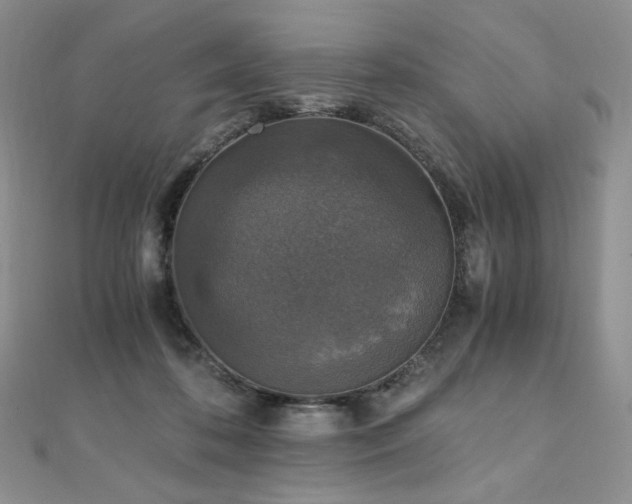 X0000110890316200906181251