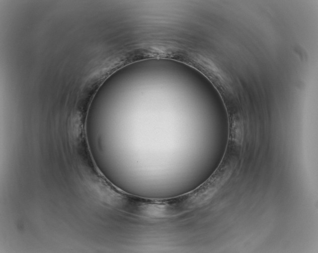 X0000110890318200906181251