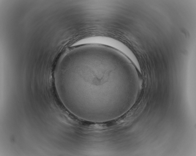 X0000110890320200906181251