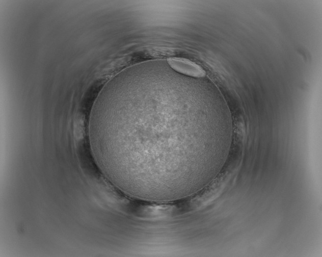 X0000110890323200906181251