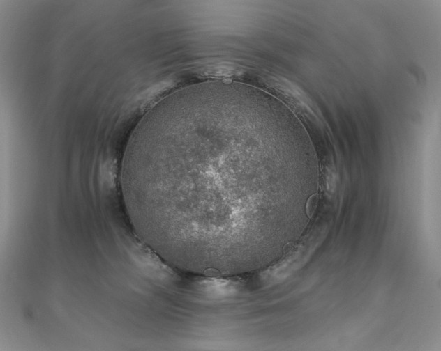 X0000110890326200906181251