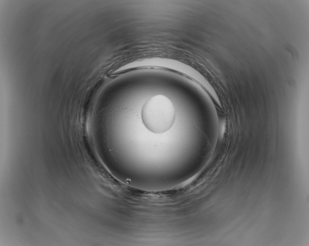 X0000110890328200906181251
