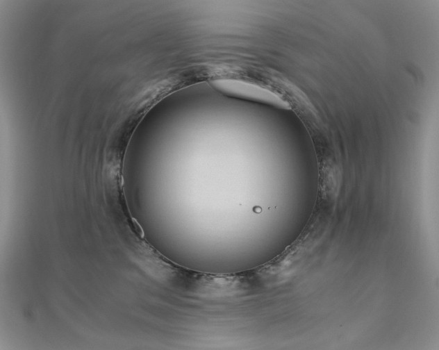 X0000110890329200906181251