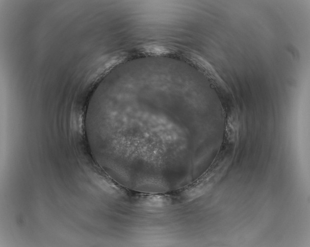 X0000110890330200906181251