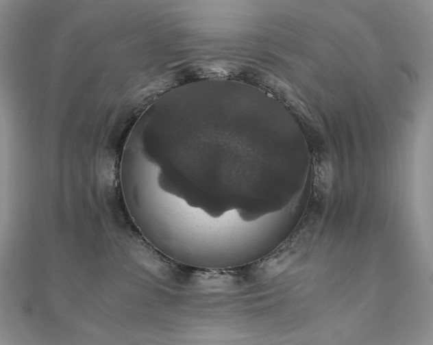 X0000110890331200906181251