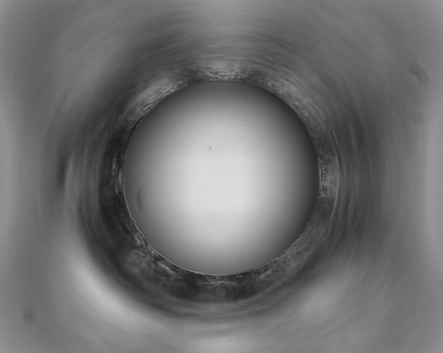 X0000110890334200906181251