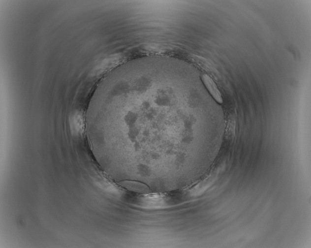 X0000110890335200906181251