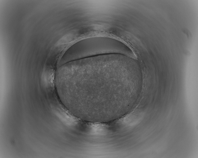 X0000110890336200906181251