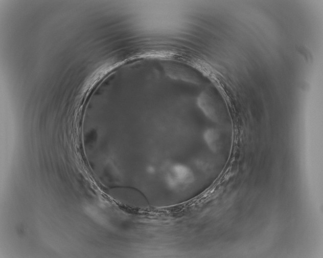 X0000110890337200906181250