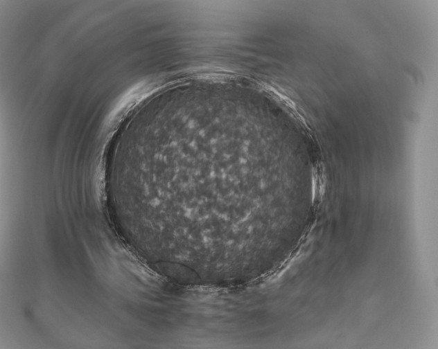 X0000110890339200906181250