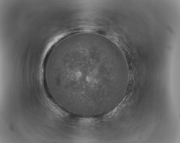 X0000110890342200906181250