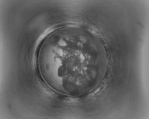 X0000110890343200906181250