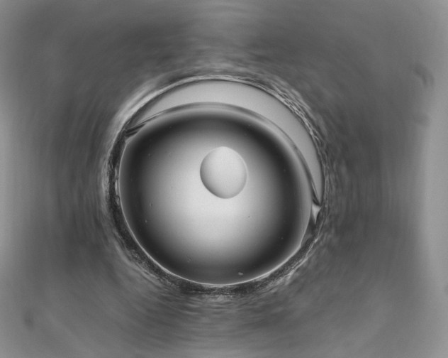 X0000110890344200906181250