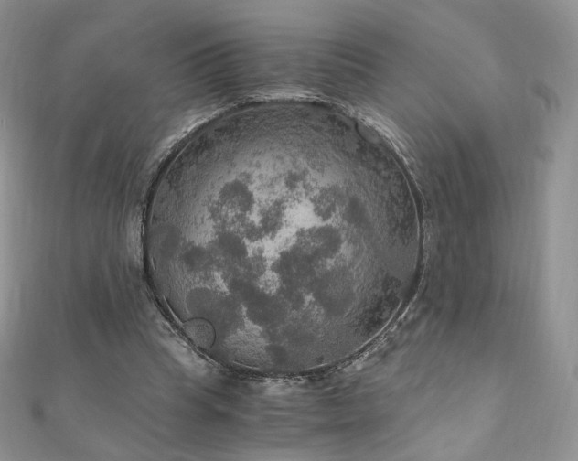 X0000110890345200906181250