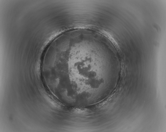 X0000110890346200906181250
