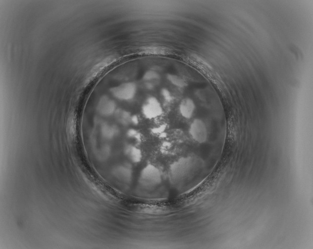 X0000110890347200906181250