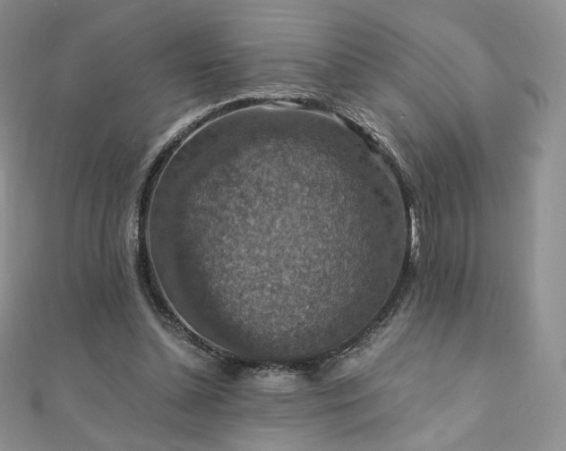 X0000110890348200906181250