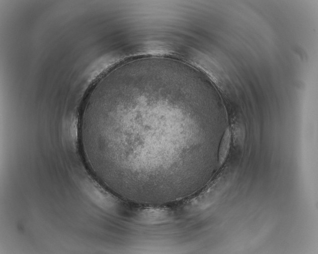 X0000110890350200906181250