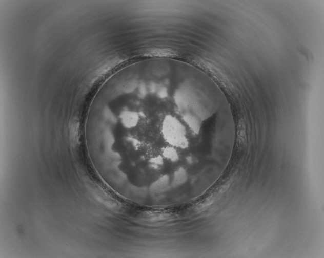 X0000110890351200906181250