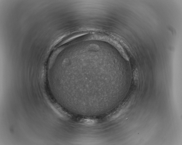 X0000110890352200906181250