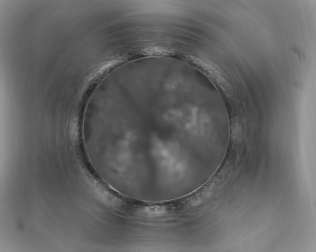 X0000110890353200906181250