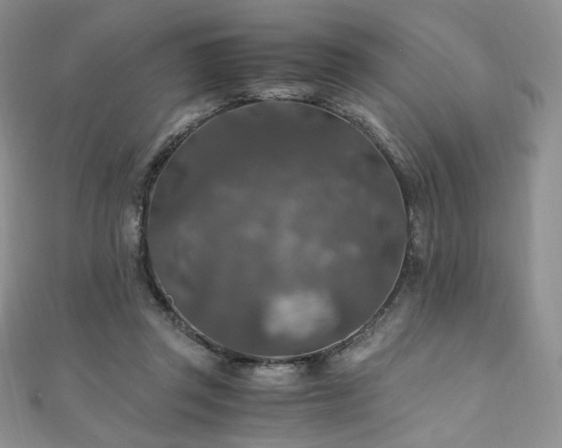 X0000110890357200906181250