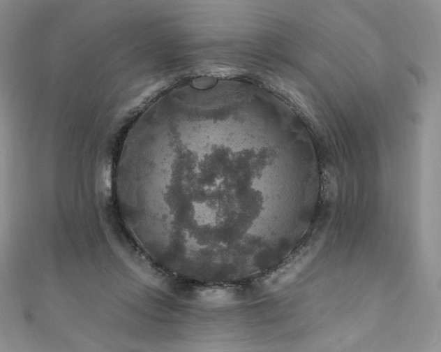 X0000110890358200906181250