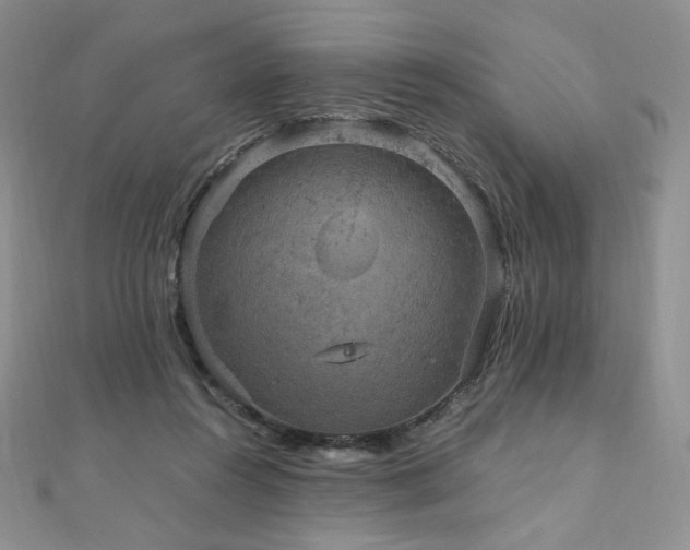 X0000110890360200906181250