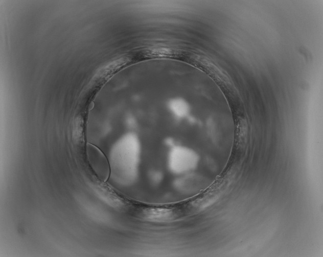 X0000110890361200906181250