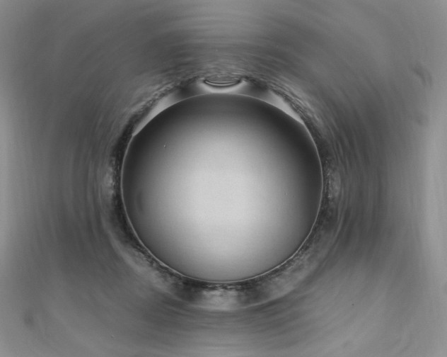 X0000110890362200906181250