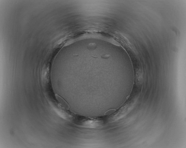 X0000110890364200906181250