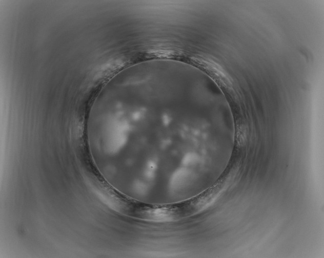 X0000110890365200906181250